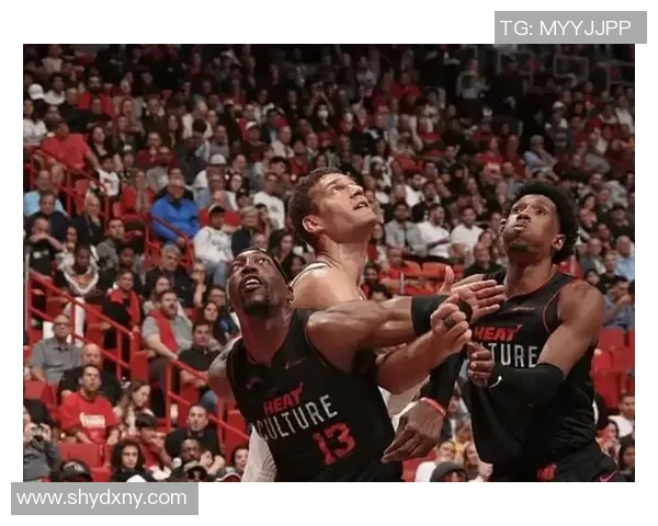 篮网队与老鹰激战正酣在线直播精彩瞬间全程回顾