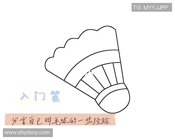 羽毛球新手必看：提升耐力的实用技巧与训练方法分享