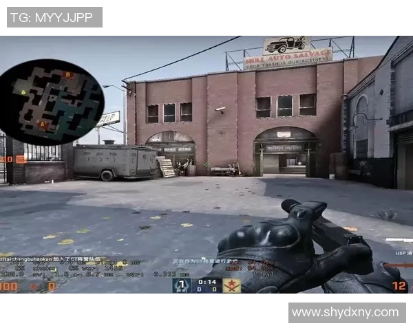 陈芳专访：从新手到高手的CSGO成长之路与心路历程回顾MBA