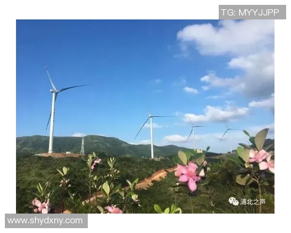 高校联赛特别报道：LNG如何在竞争激烈的环境中实现成功转型与发展